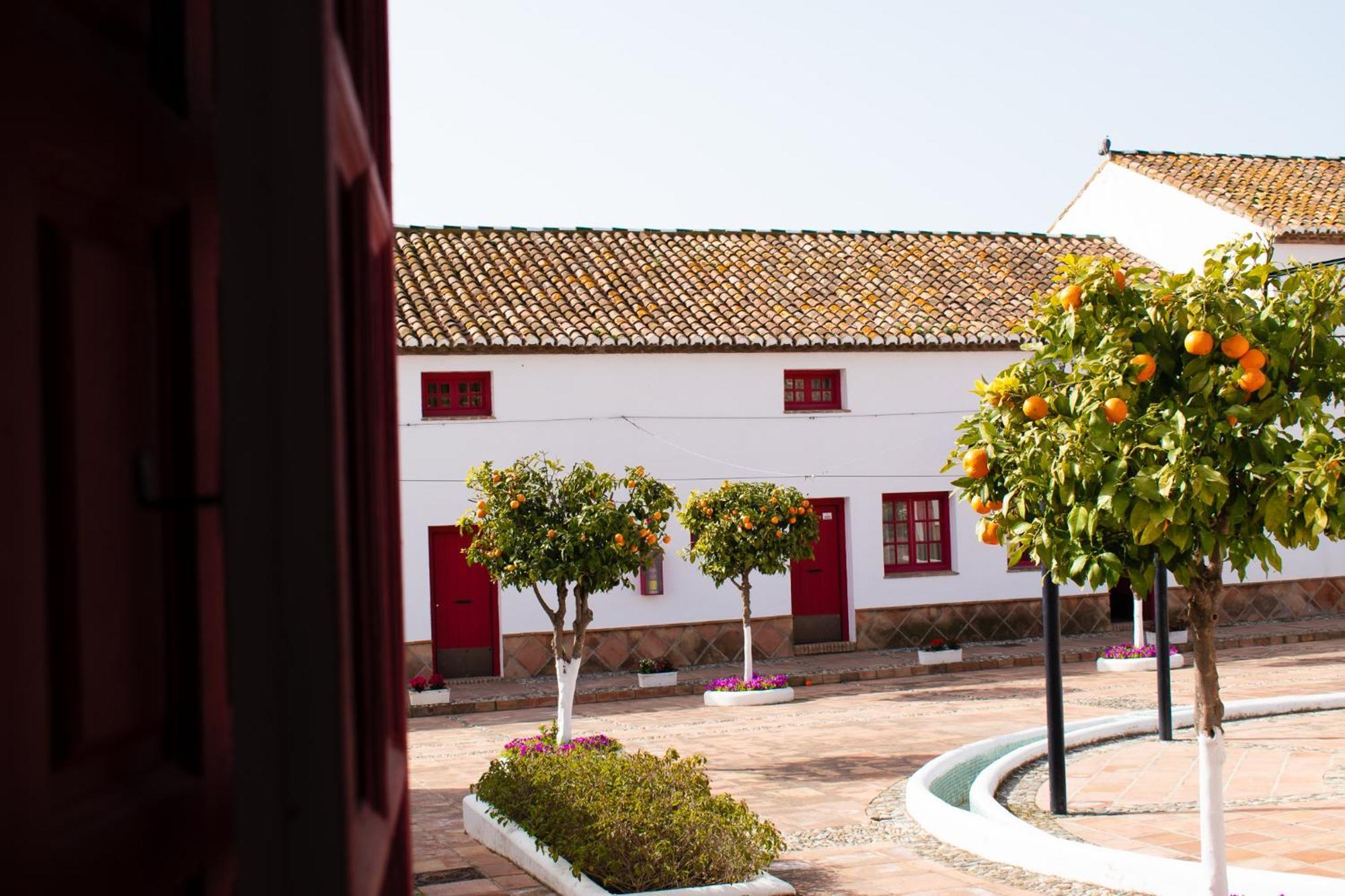 Hotel Cortijo Del Arte - Caminito Del Rey Pizarra Δωμάτιο φωτογραφία