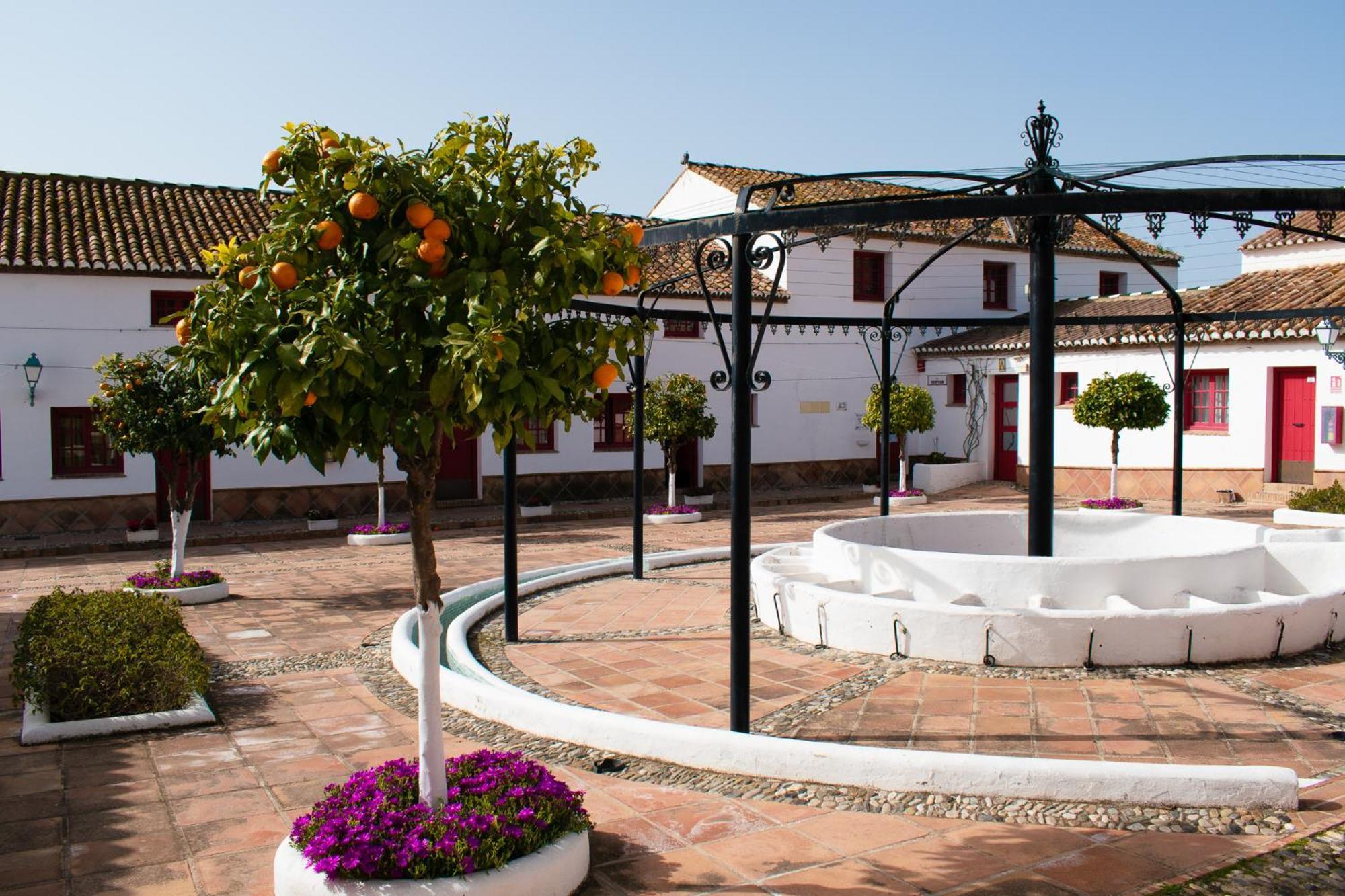 Hotel Cortijo Del Arte - Caminito Del Rey Pizarra Δωμάτιο φωτογραφία