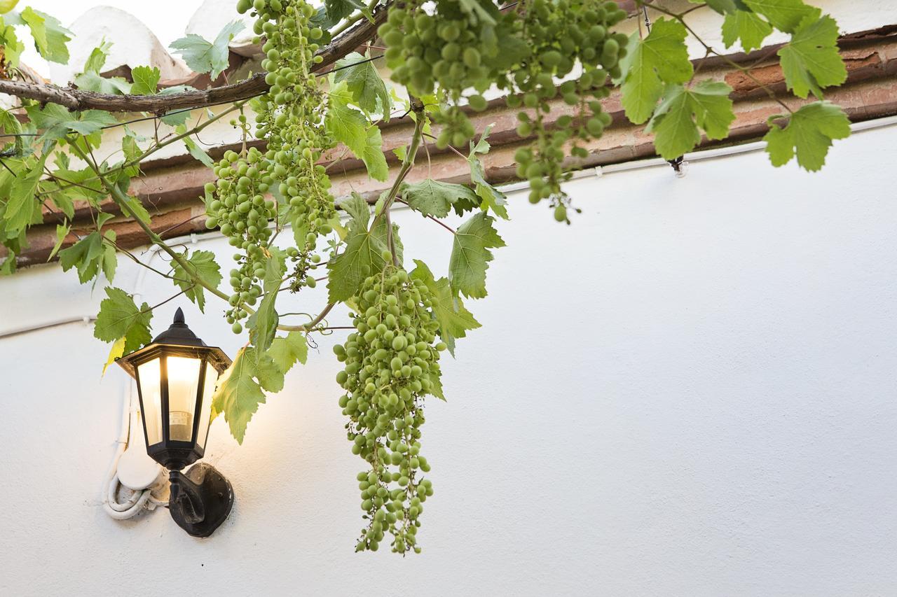 Hotel Cortijo Del Arte - Caminito Del Rey Pizarra Εξωτερικό φωτογραφία